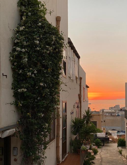 Marettimo House | Isoladelmiele