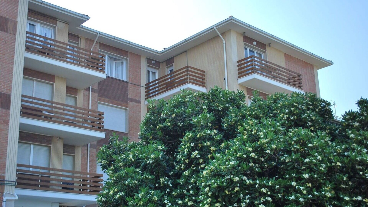 Marina di Castagneto Carducci Apartment | Beautiful apartment for 4 people with A/C, WIFI, TV, balcony and panoramic view