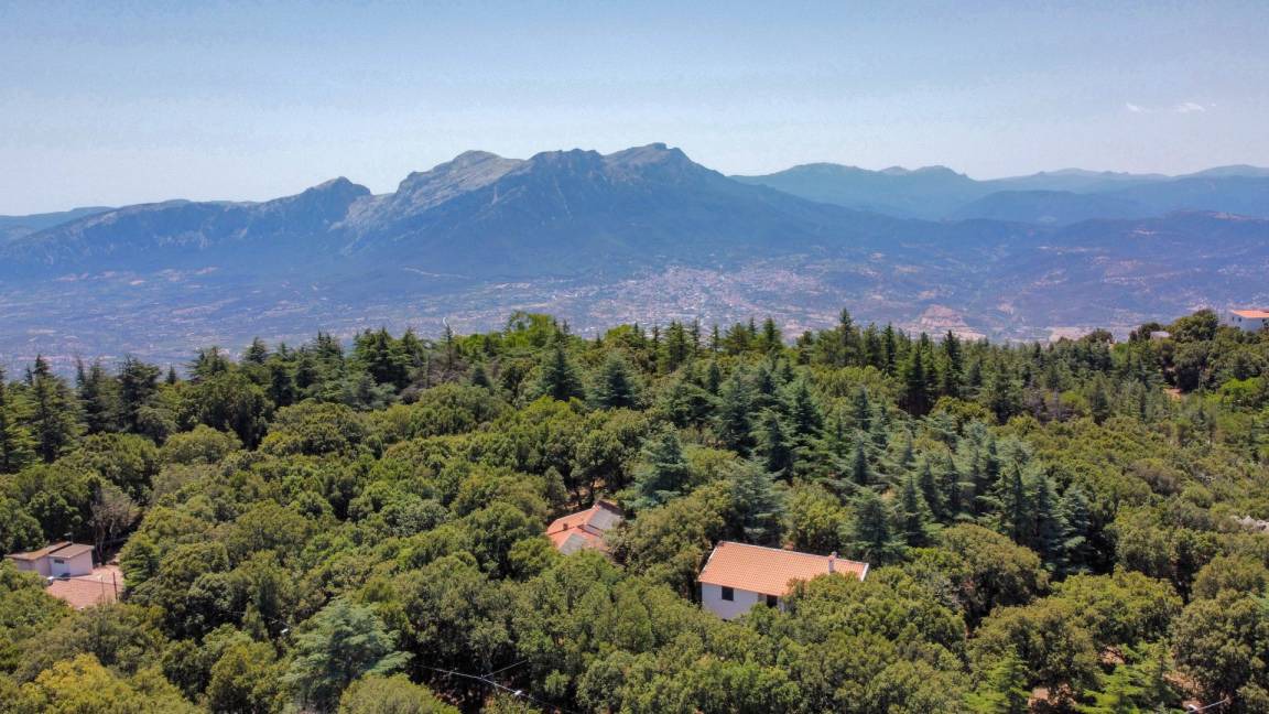 Nuoro Apartment | 41 m² Apartment ∙ 1 bedroom ∙ 2 guests
