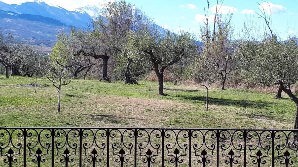 Loreto Aprutino Villa | Ancient farmhouse with vaulted ceilings, surrounded by centuries-old olive trees and splendid views