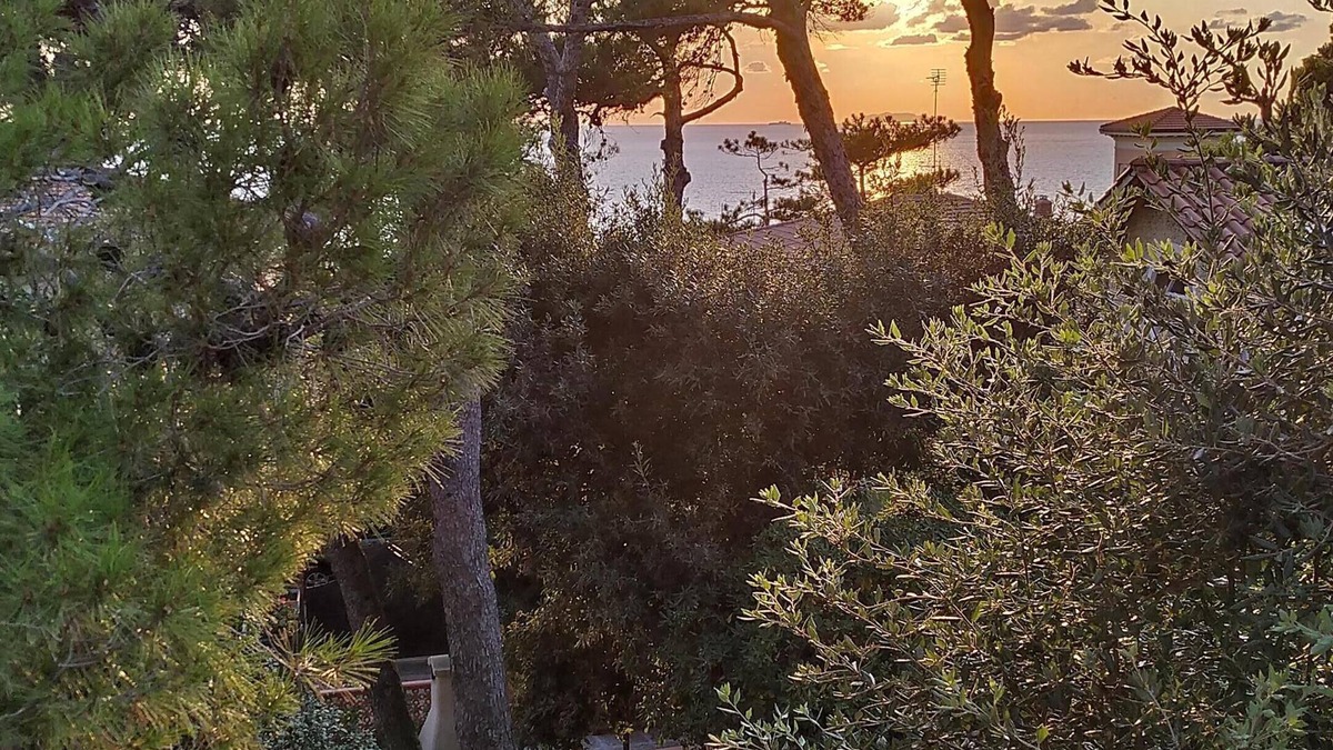 Castiglioncello Villa | Villa surrounded by greenery at 300 meters from the sea