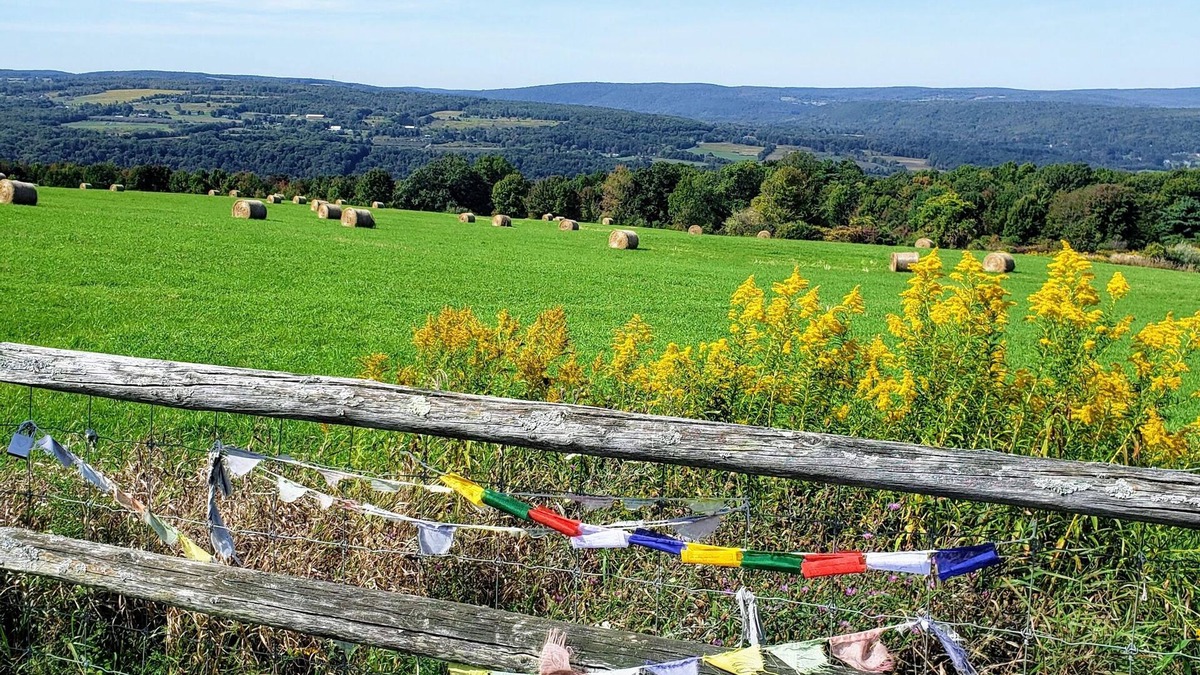 Ithaca House | ITHACA NY- 36 Acre Retreat, Breathtaking Sunsets, Private, CU, IC, Privacy-Enjoy