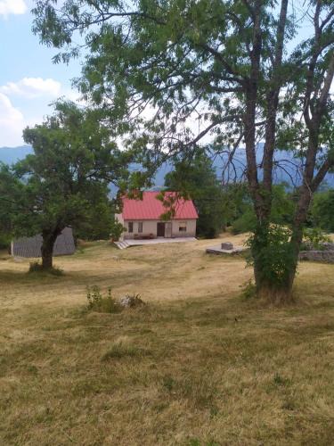 Savnik House | Ivica