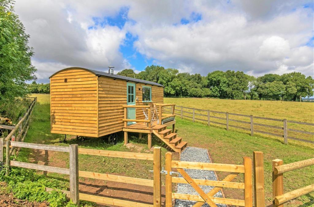 Sparsholt Other | Jabba, The Hut