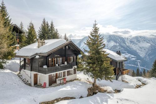 Bettmeralp Apartment | Jadwiga EG