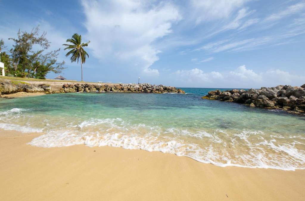 Tower Isle Apartment | Jamaica Time Driftwood at Sea Palms 3BR 3BA Condo in Ocho Rios with Pool and Beach Front with Views ONLY 10 Mins from Ochi Intl Airport Direct flight from Miami