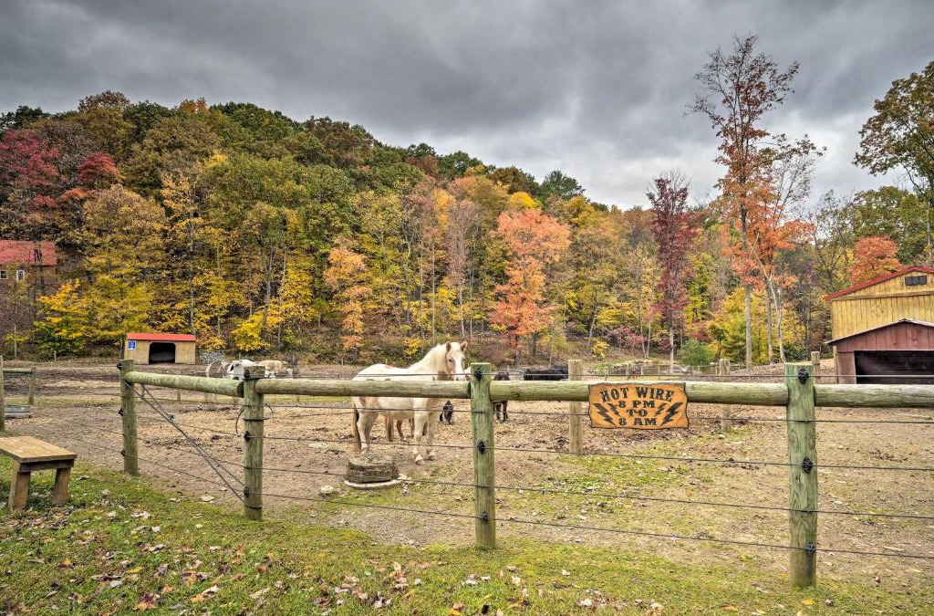 Huntingdon Apartment | James West Apt with 50 Acres - Near Raystown Lake