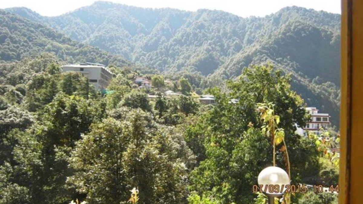 Pangot Hotel | Janardan Resort Pangot