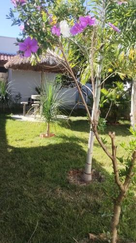 Piumhi House | Jardim Secreto