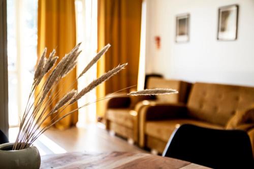 Sventoji Apartment | Jaukūs apartamentai su lauko baseinu, sporto sale ir vaikų žaidimų kambariu netoli jūros!