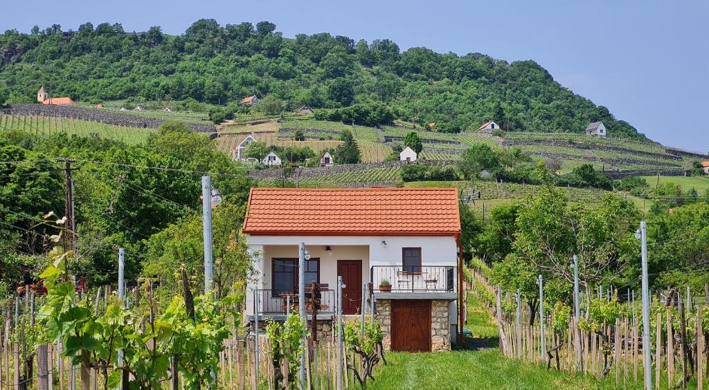Somlovasarhely House | Jera Pince és Vendégház