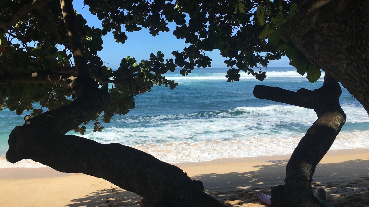 Pupukea House | Jewel Of Sunset Point at world famous Sunset Beach