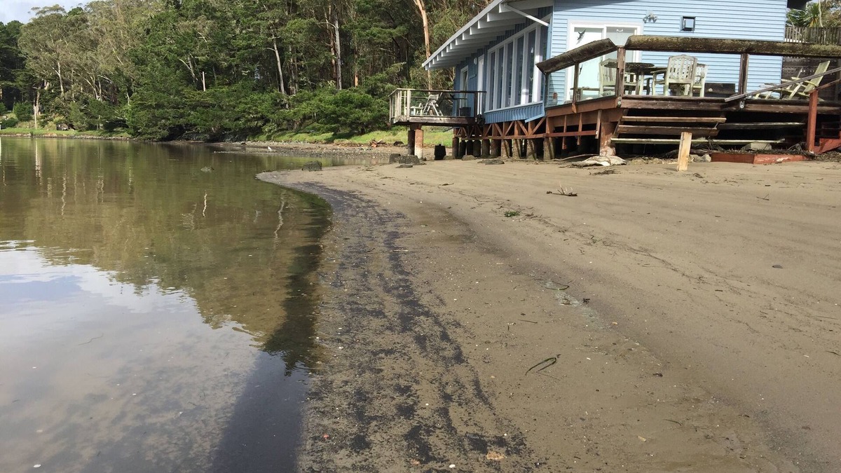 McDonald Apartment | Joe's Studio on Tomales Bay, Bleu Bay Cove, Marshall, Pt Reyes National Park