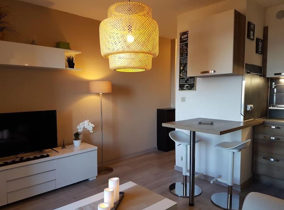 Evian-les-Bains Apartment | Jolie F2 meublé tout confort VUE LAC