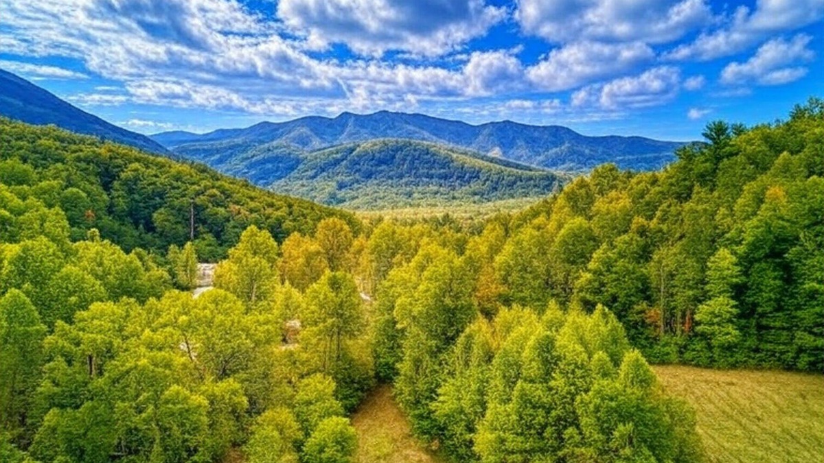 Cosby Cottage | Jolly Jingle Cabin, Pickleball Court, WIFI, Mountain Views, Starting at $79