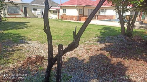 Greater Johannesburg Metropolitan Area House | JOLLY'S PARK GUEST HOUSE