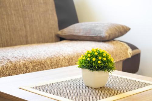 Central Serbia Apartment | JTP Apartmani Ivanjica