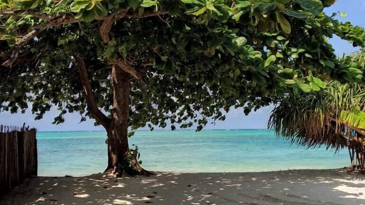 Makunduchi Hotel | Juana Ocean Villas