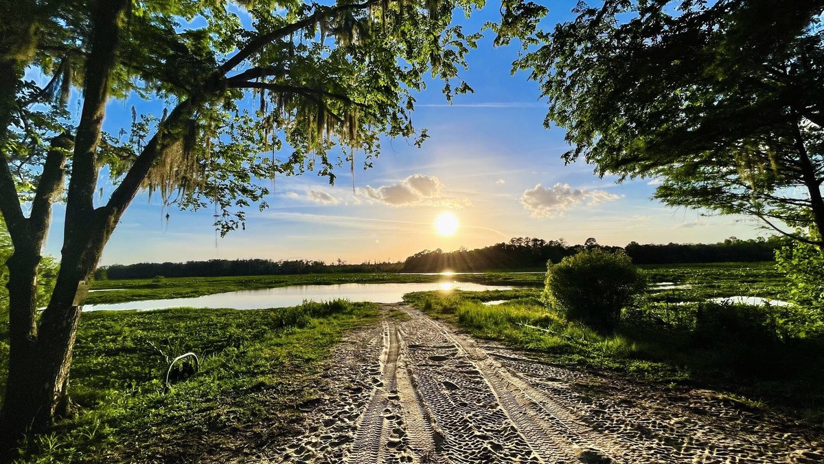 Edgar Cabin | Juanita’s Cabin , a Peaceful cabin in Central Florida. IG:@JUANITASCABIN