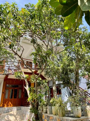 Dickwella House | Jungle Escape Hiriketiya
