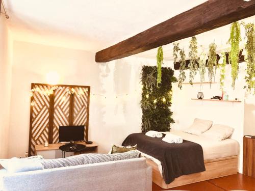 Nimes City Centre Apartment | JUNGLE Hyper Centre