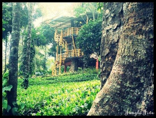 Devikolam House | Jungle Jive Treehouse and Farm house