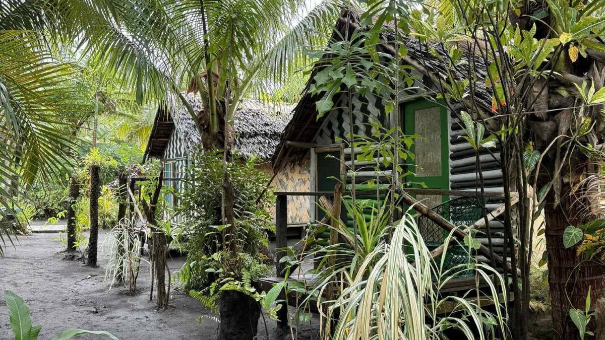 Tanna Island Bed & Breakfast | Jungle Oasis