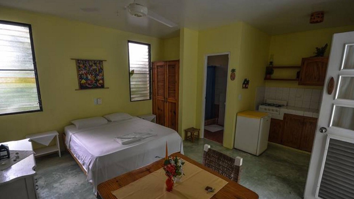ProCab Apartment | Jungle studio with kitchenette