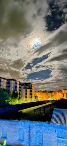 Alessandria Apartment | Jungle Sunshine Apartment