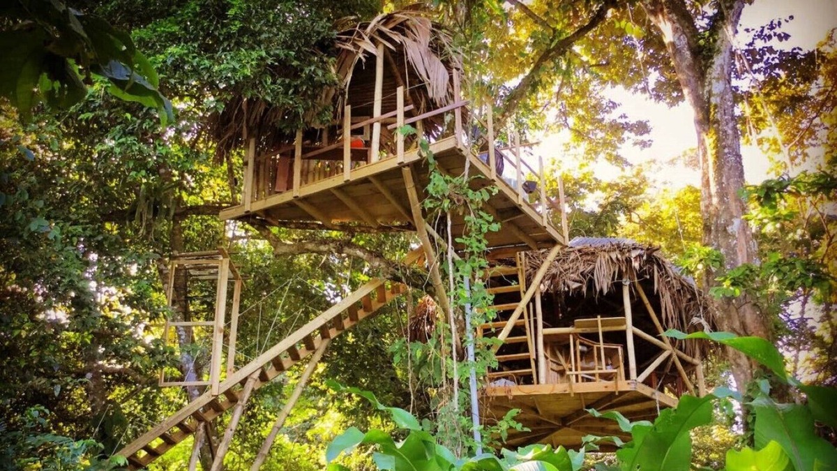 Bocas del Toro House | Jungle Treehouse by the Sea