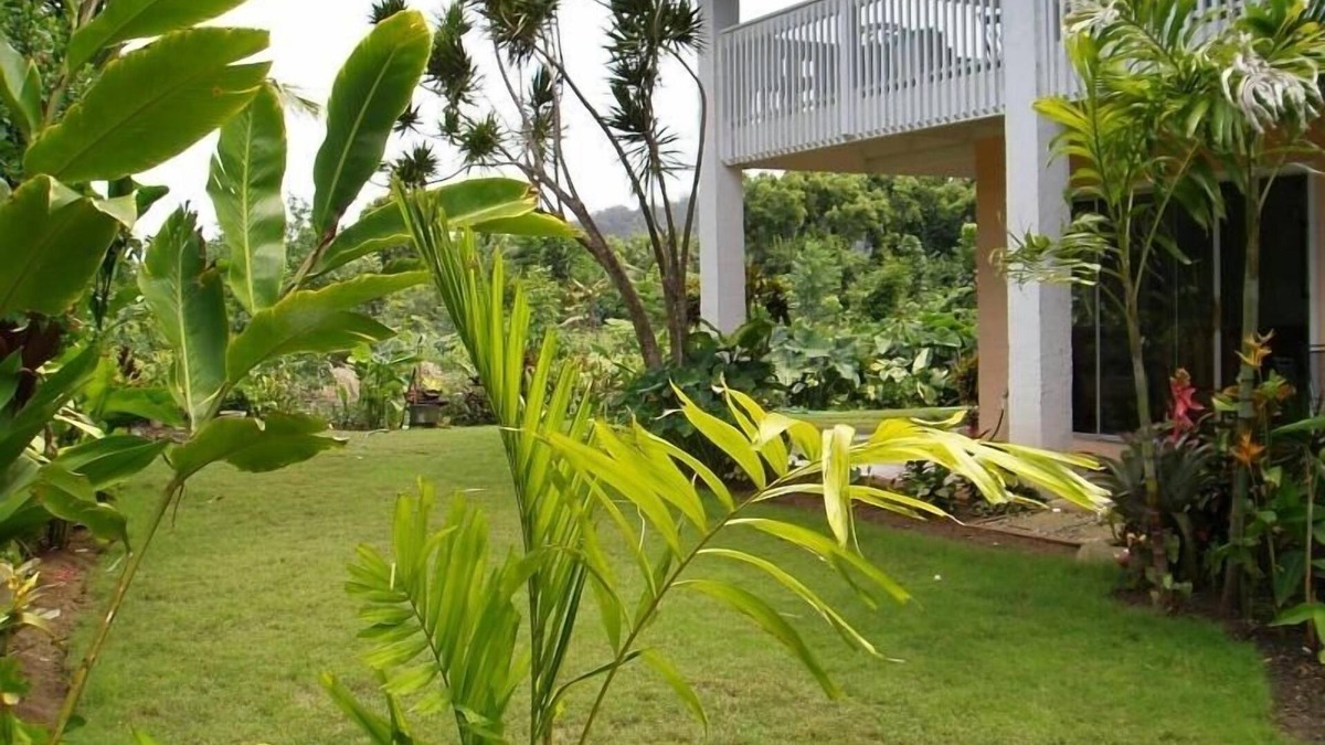 Hanalei Palms House | Just steps to Hanalei Bay. A Peaceful Getaway TVR4188 W31871267