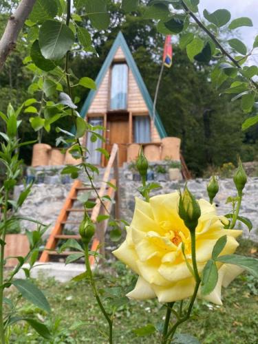 Kukes County House | Kafe Pojana