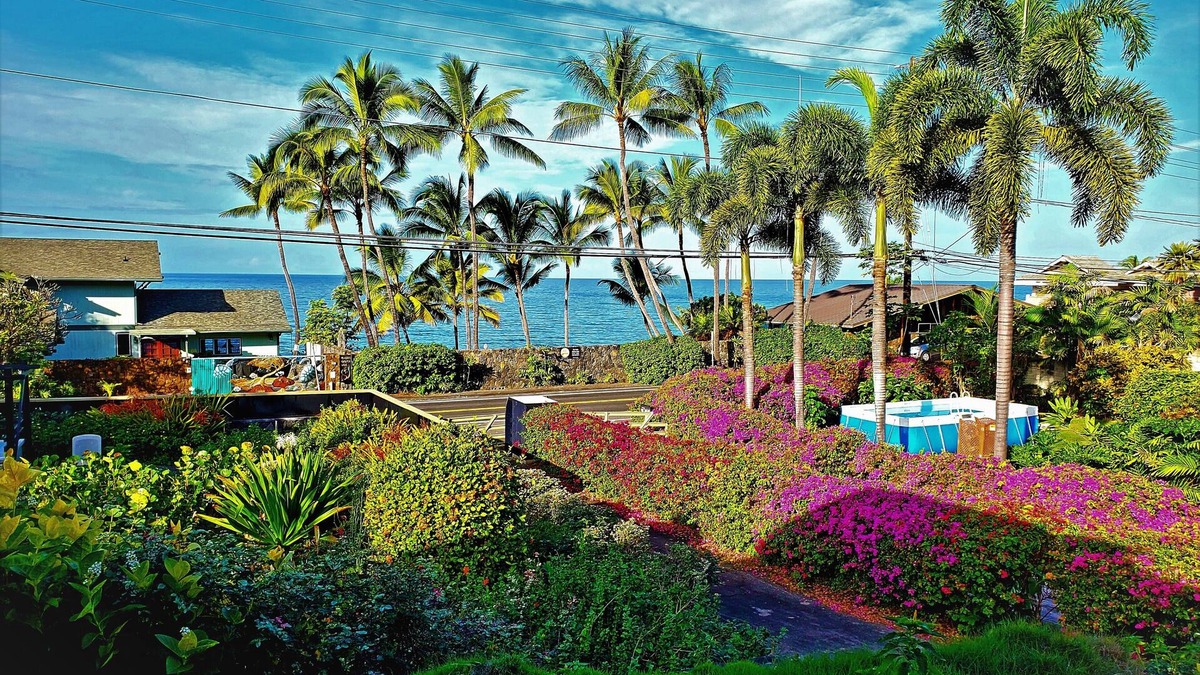 Kahaluu Bay Villa | KAHALU'U BEACH HOUSE WALKING DISTANCE OF 4 MINUTES. SUNSETS, PALM TREES, BIRDS!