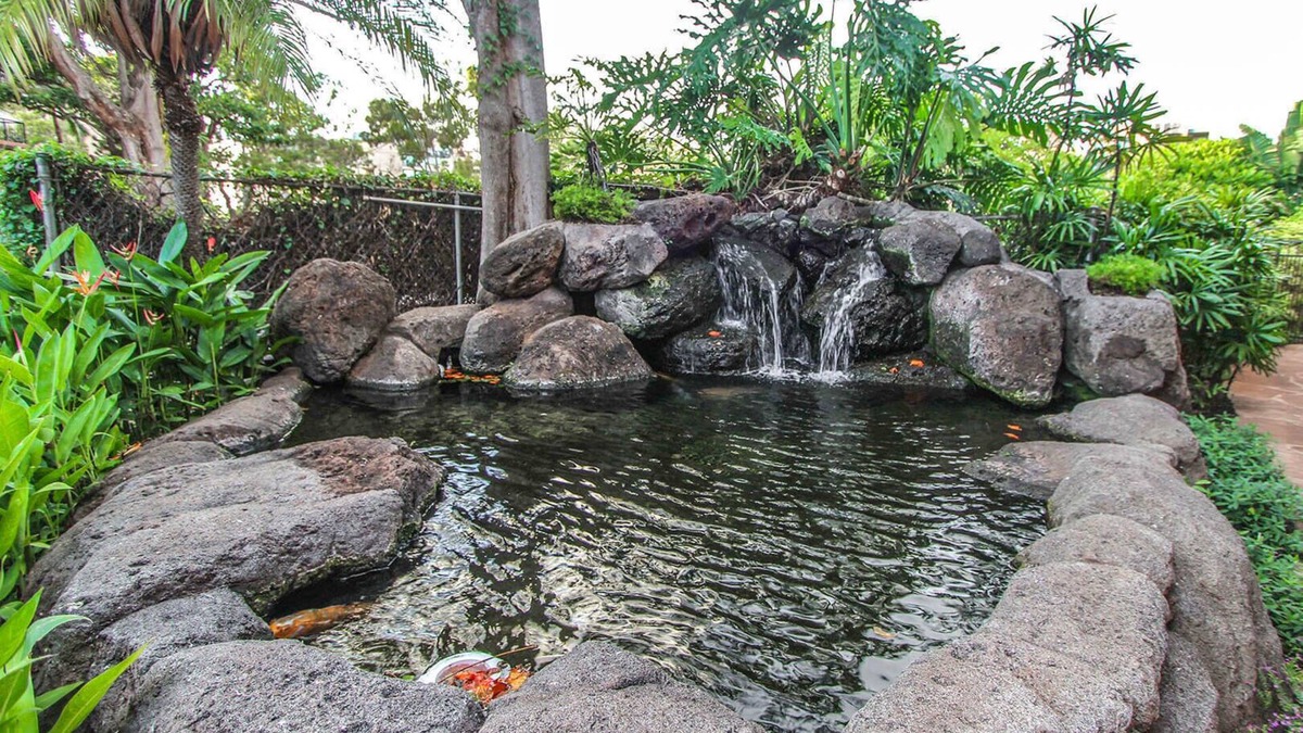 Port Coquitlam Apartment | Kahana Falls Maui Studio for 2 kitchenete 1 week Jan 13 to 20