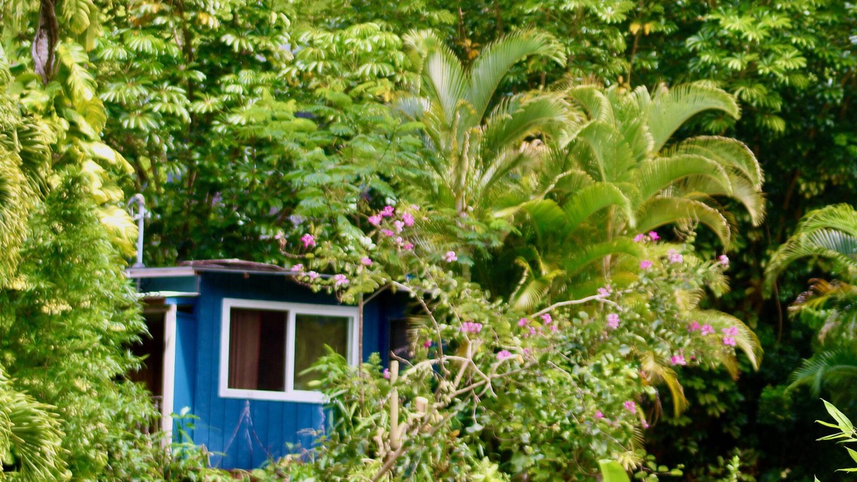 Wainiha House | Kai Honu Home