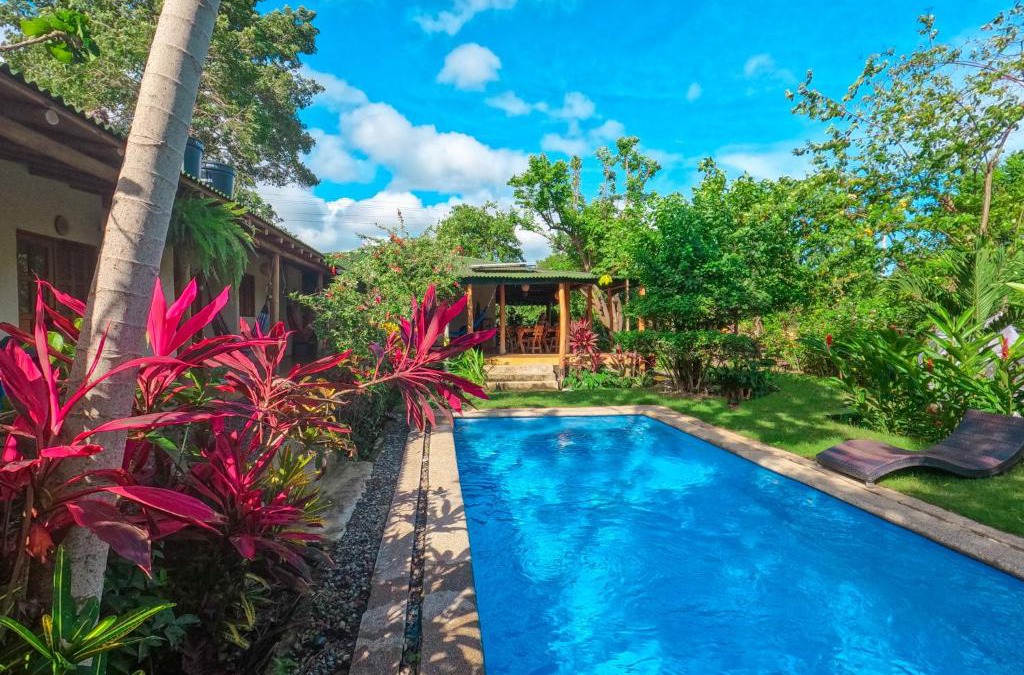Palomino Bed & Breakfast | Kallpa B&B