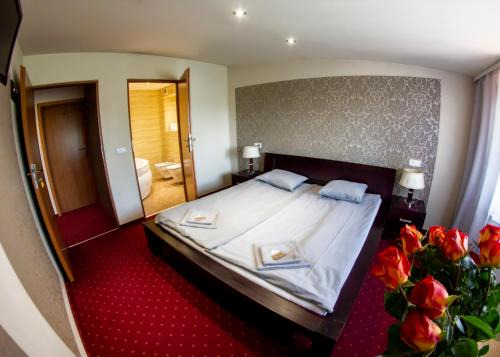 Sosnowiec Bed & Breakfast | Kamionki