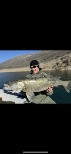Trebinje Boat Rental | Kamp Bilecko Jezero Ribolov
