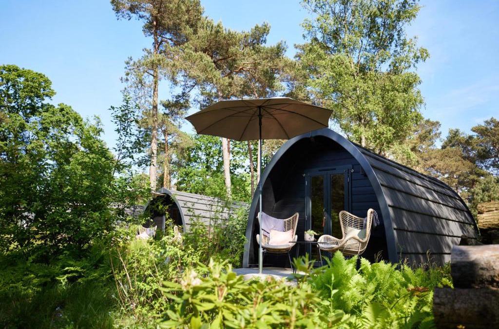 Oisterwijk Ski Chalet | KampinaStaete, hippe cottages midden in natuurgebied de Kampina Oisterwijk