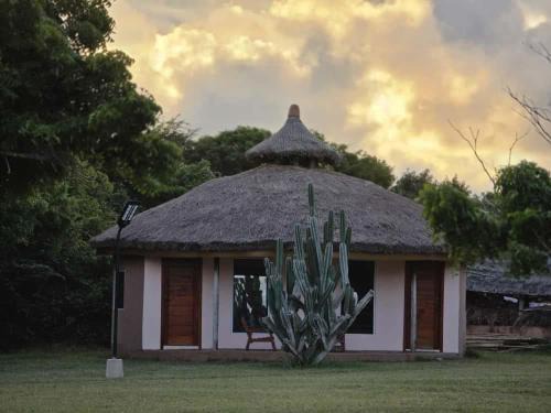 Nyanyanu Resort | Kasapa Centre Eco Resort