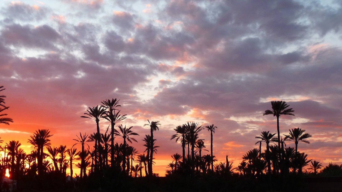 Amezrou House | Kasbah Ziwana