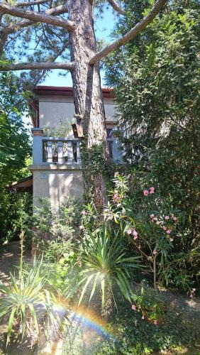 Balatonfured Apartment | Kasza Villa
