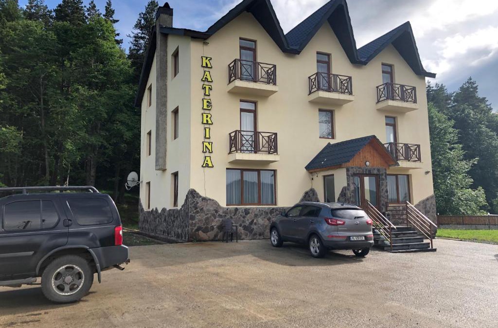 Bakuriani Bed & Breakfast | Katerina