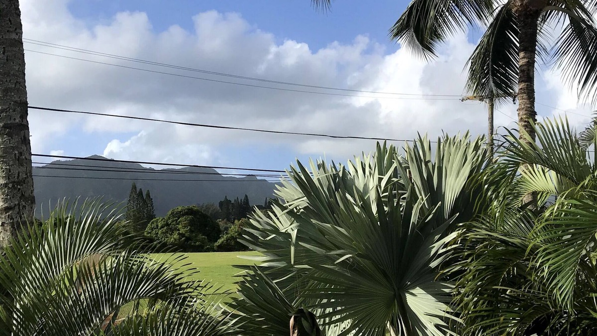 Lihue Hotel | Kaua'i Palms Hotel