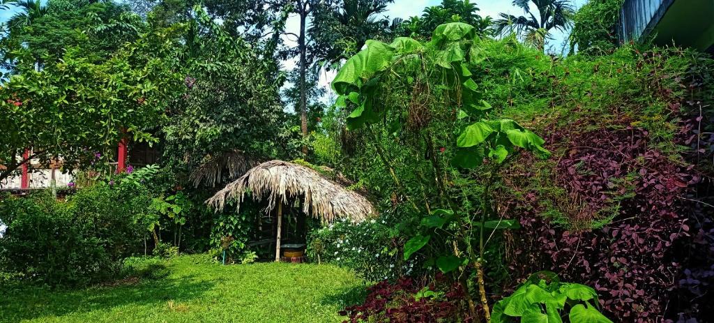 Bokakhat House | Kaziranga Abode.