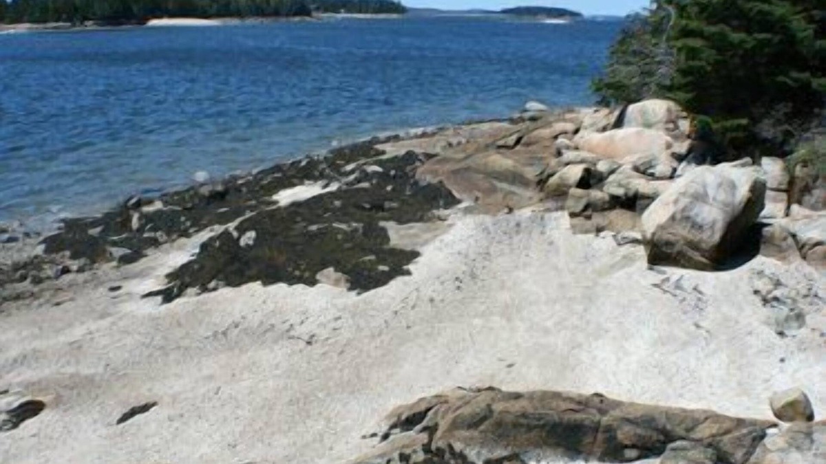 Brooklin House | Kelly Point - Built in harmony with nature