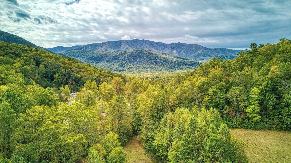 Cosby Cottage | Kerri's Cottage, Pickleball Court, Creek, WIFI, Mountain Views, No Cleaning Fee