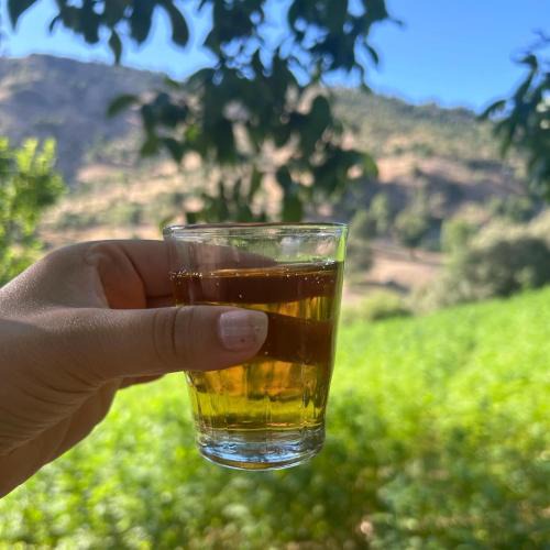 Ketama Apartment | Ketama rif