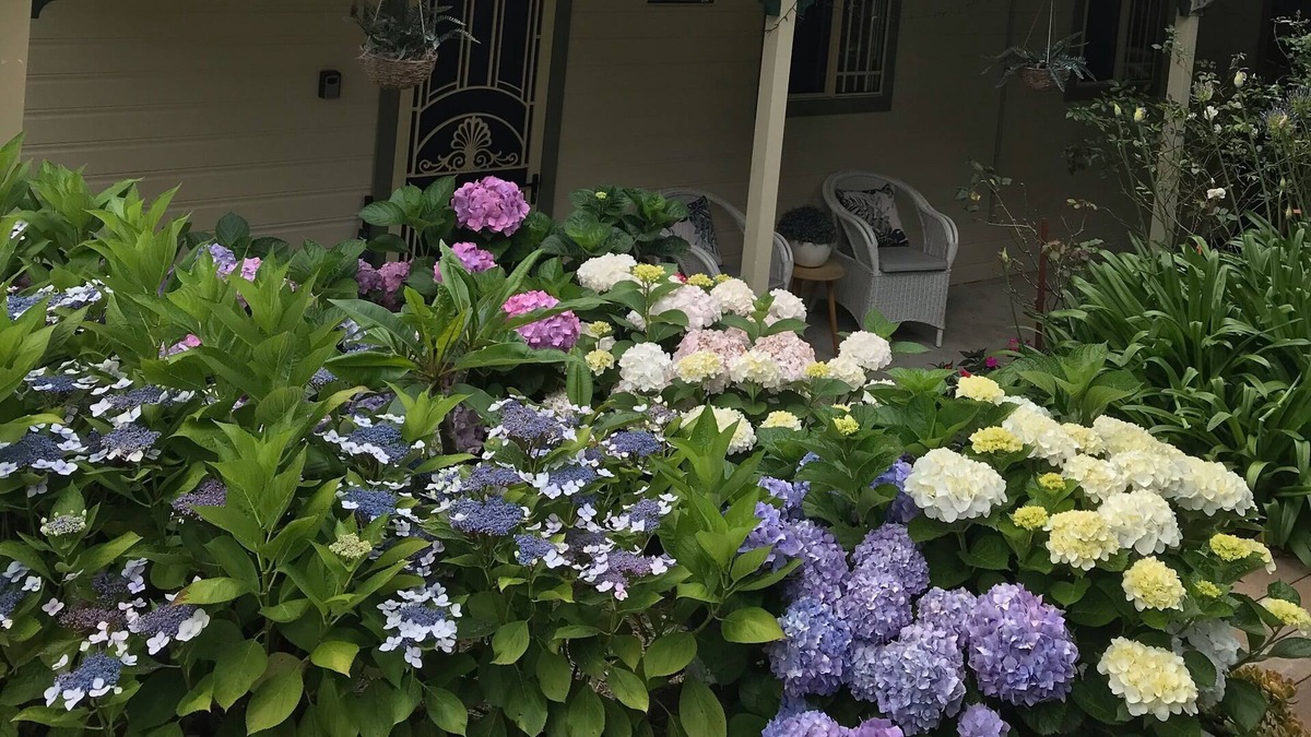 Kiama Cottage | Kiama Hampton Cottage -WIFI-Netflix -aircon