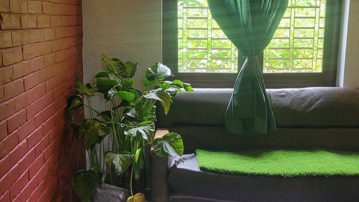 Kathmandu House | King apartment with mountain view